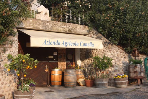 Azienda Agricola Canella