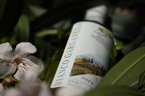 Bianco Garganega